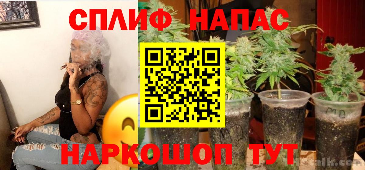 Торжок  МАРИХУАНА OG Kush  Вход с VPN  Каннабис план  Конопля AK-47 